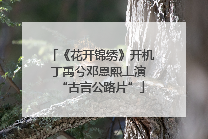 《花开锦绣》开机 丁禹兮邓恩熙上演“古言公路片”