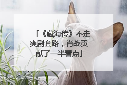 《藏海传》不走爽剧套路，肖战贡献了一半看点