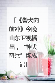 《警犬向前冲》今晚山东卫视播出，“神犬奇兵”炼成记