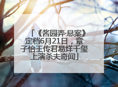 《酱园弄·悬案》定档6月21日，章子怡王传君易烊千玺上演杀夫奇闻