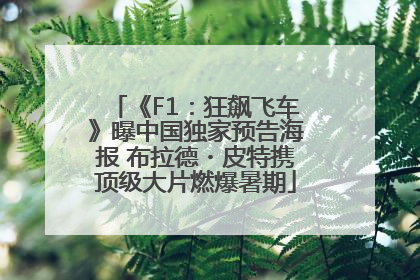 《F1：狂飙飞车》曝中国独家预告海报 布拉德・皮特携顶级大片燃爆暑期