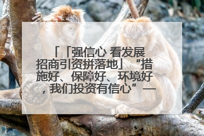 「强信心 看发展 招商引资拼落地」“措施好、保障好、环境好，我们投资有信心”——平凉工业园区医药原料绿色制造项目见闻