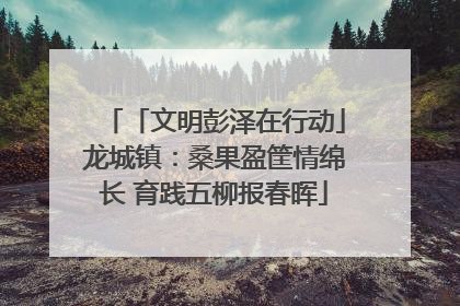 「文明彭泽在行动」龙城镇：桑果盈筐情绵长 育践五柳报春晖