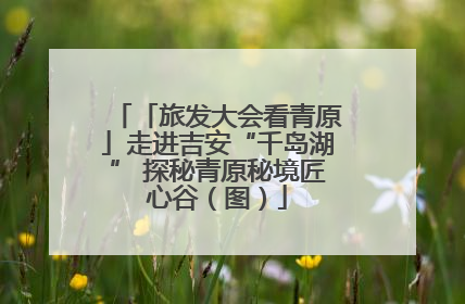 「旅发大会看青原」走进吉安“千岛湖” 探秘青原秘境匠心谷（图）