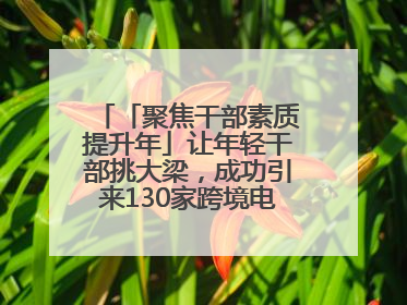 「聚焦干部素质提升年」让年轻干部挑大梁，成功引来130家跨境电商企业