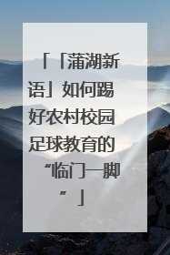 「蒲湖新语」如何踢好农村校园足球教育的“临门一脚”