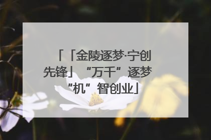 「金陵逐梦·宁创先锋」“万千”逐梦 “机”智创业