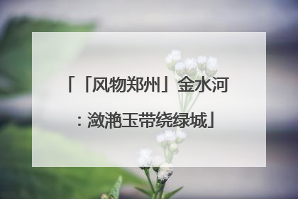 「风物郑州」金水河：潋滟玉带绕绿城