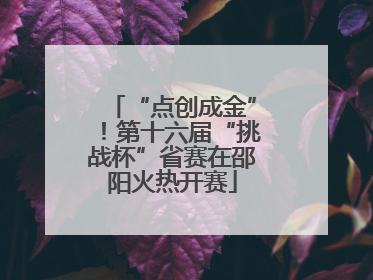 “点创成金”！第十六届“挑战杯”省赛在邵阳火热开赛