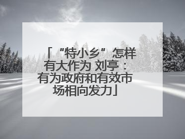 “特小乡”怎样有大作为 刘亭：有为政府和有效市场相向发力