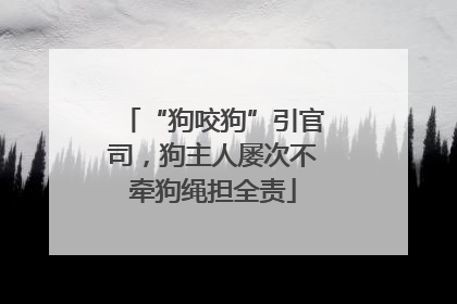 “狗咬狗”引官司，狗主人屡次不牵狗绳担全责