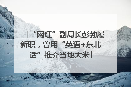 “网红”副局长彭勃履新职，曾用“英语+东北话”推介当地大米