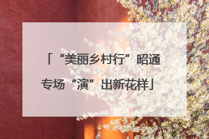 “美丽乡村行”昭通专场“演”出新花样