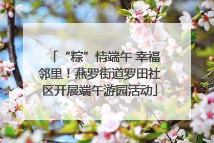 “粽”情端午 幸福邻里！燕罗街道罗田社区开展端午游园活动