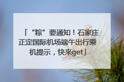 “粽”要通知！石家庄正定国际机场端午出行乘机提示，快来get