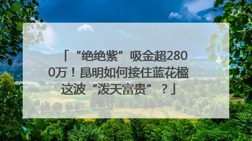 “绝绝紫”吸金超2800万！昆明如何接住蓝花楹这波“泼天富贵”？