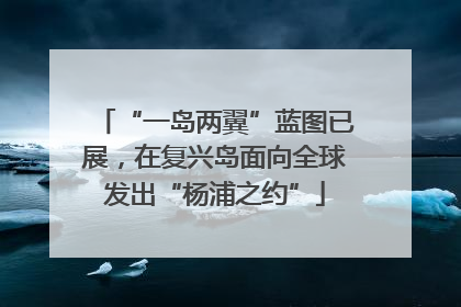 “一岛两翼”蓝图已展，在复兴岛面向全球发出“杨浦之约”