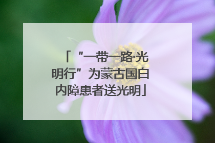 “一带一路·光明行”为蒙古国白内障患者送光明
