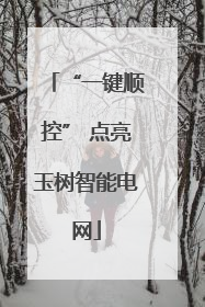 “一键顺控” 点亮玉树智能电网