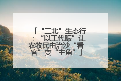 “三北”生态行：“以工代赈”让农牧民由治沙“看客”变“主角”