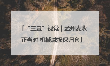 “三夏”视觉｜孟州麦收正当时 机械减损保归仓