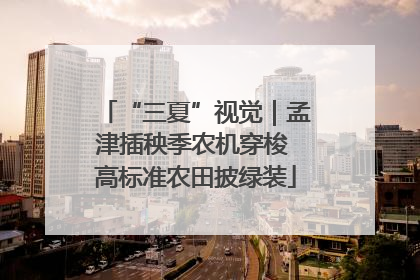 “三夏”视觉｜孟津插秧季农机穿梭 高标准农田披绿装