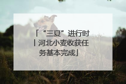 “三夏”进行时丨河北小麦收获任务基本完成