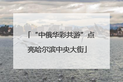 “中俄华彩共游”点亮哈尔滨中央大街