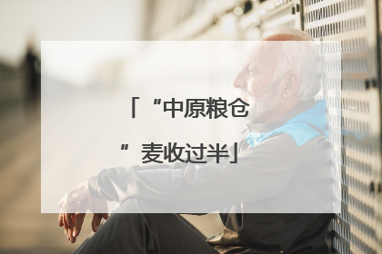 “中原粮仓”麦收过半