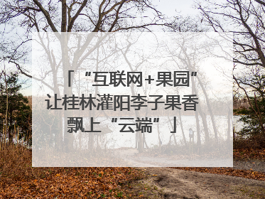 “互联网+果园”让桂林灌阳李子果香飘上“云端”