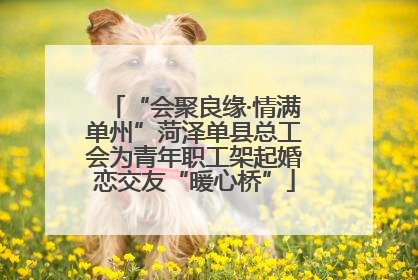“会聚良缘·情满单州”菏泽单县总工会为青年职工架起婚恋交友“暖心桥”