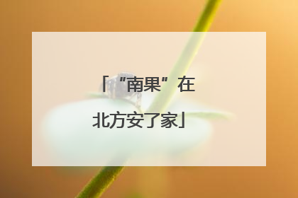 “南果”在北方安了家
