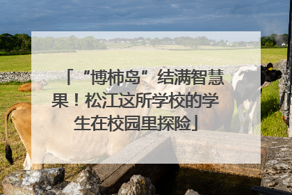 “博柿岛”结满智慧果！松江这所学校的学生在校园里探险