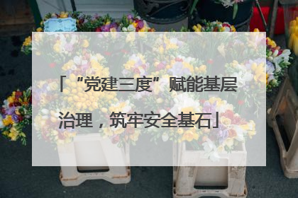 “党建三度”赋能基层治理，筑牢安全基石