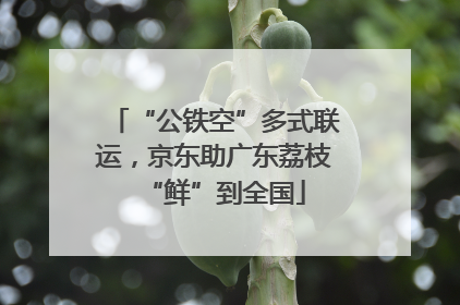 “公铁空”多式联运，京东助广东荔枝“鲜”到全国