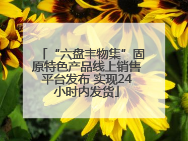 “六盘丰物集”固原特色产品线上销售平台发布 实现24小时内发货