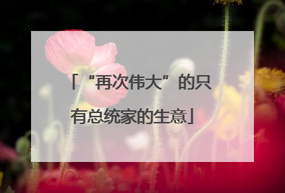 “再次伟大”的只有总统家的生意