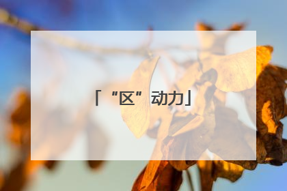 “区”动力