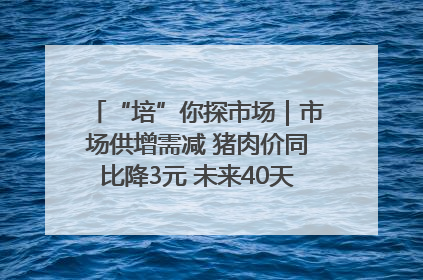 “培”你探市场｜市场供增需减 猪肉价同比降3元 未来40天便宜猪肉敞开吃