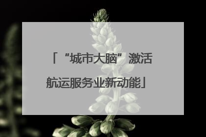“城市大脑”激活航运服务业新动能