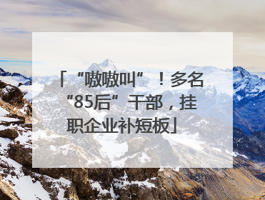 “嗷嗷叫”！多名“85后”干部，挂职企业补短板