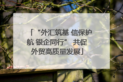 “外汇筑基 信保护航 银企同行” 共促外贸高质量发展