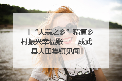 “大蒜之乡”精算乡村振兴幸福账——成武县大田集镇见闻