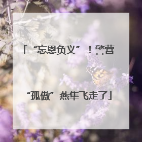 “忘恩负义”！警营“孤傲”燕隼飞走了