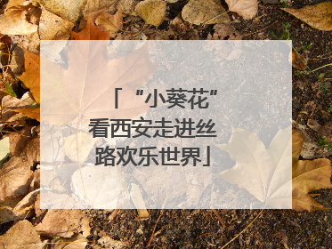 “小葵花”看西安走进丝路欢乐世界