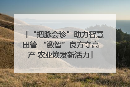 “把脉会诊”助力智慧田管 “数智”良方夺高产 农业焕发新活力