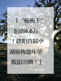 “杨梅王”拍出6.6万！建阳首届小湖杨梅嘉年华酸甜出圈！