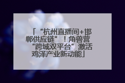 “杭州直播间+邯郸供应链”！角兽营“跨域双平台”激活鸡泽产业新动能