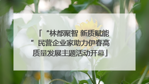 “林都聚智 新质赋能”民营企业家助力伊春高质量发展主题活动开幕