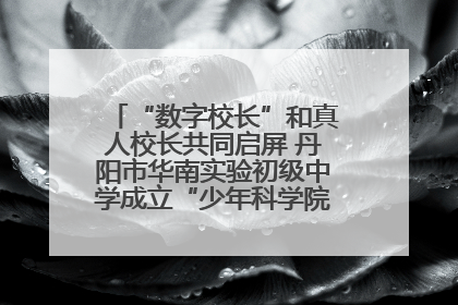 “数字校长”和真人校长共同启屏 丹阳市华南实验初级中学成立“少年科学院”共筑科技创新梦